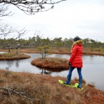 Большое Кемерское болото в Латвии — экспедиция в снегоступах