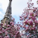 Francija ir paziņojusi datumu, kad valsts tiks atvērta tūristiem
